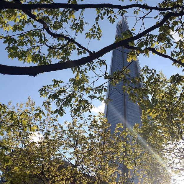 shard-views_owlshouselondon.