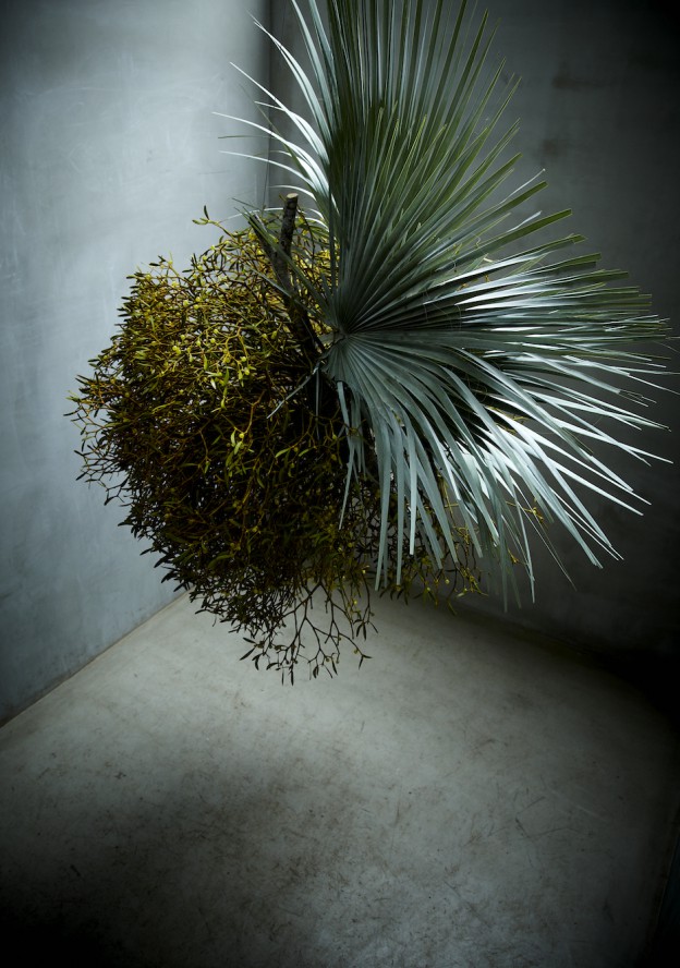 0334CrampedPunkGallery_ohl.